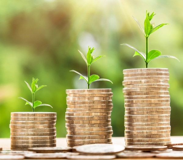 Private Equity Consulting