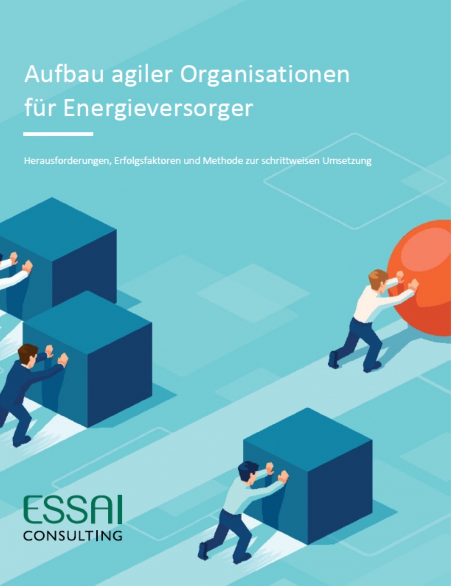Agile Organisation