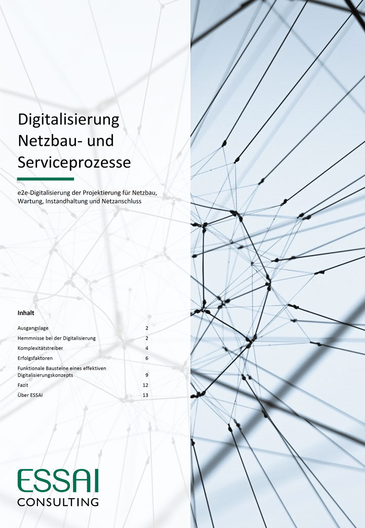 Whitepaper Digitalisierung Netzbau